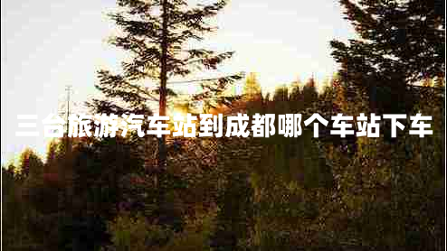 三臺旅游汽車(chē)站到成都哪個(gè)車(chē)站下車(chē)