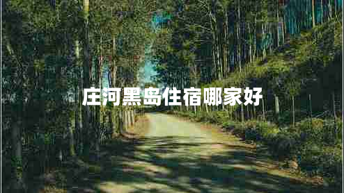 莊河黑島住宿哪家好