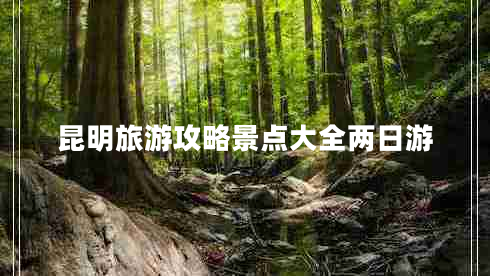 昆明旅游攻略景點(diǎn)大全兩日游