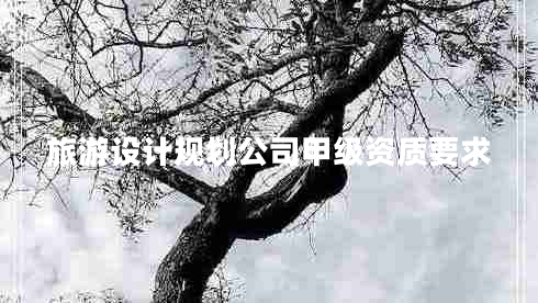 旅游設計規劃公司甲級資質(zhì)要求