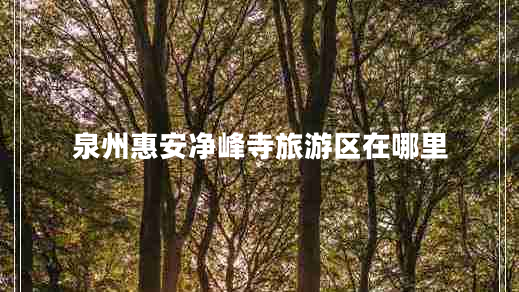 泉州惠安凈峰寺旅游區在哪里