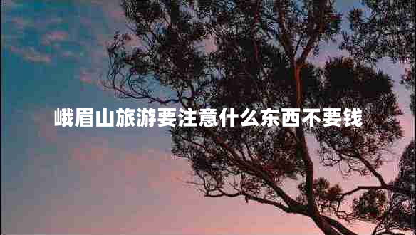 峨眉山旅游要注意什么東西不要錢(qián)