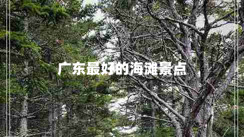 廣東最好的海灘景點(diǎn)