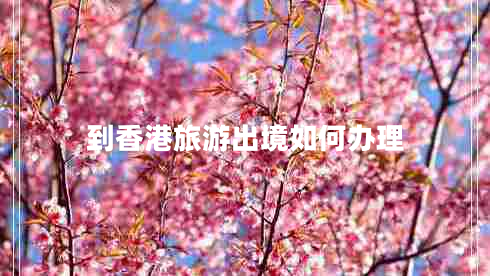 到香港旅游出境如何辦理