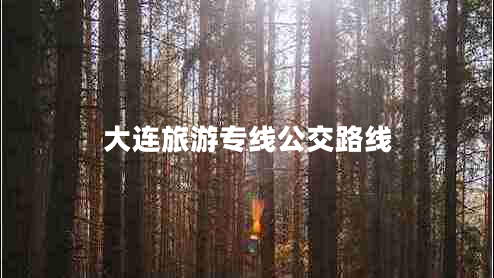 大連旅游專(zhuān)線(xiàn)公交路線(xiàn)
