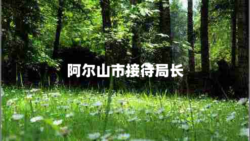 阿爾山市接待局長(cháng)