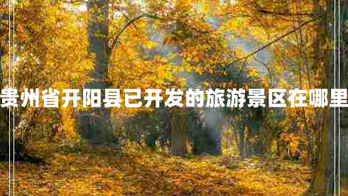 貴州省開(kāi)陽(yáng)縣已開(kāi)發(fā)的旅游景區在哪里