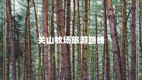 關(guān)山牧場(chǎng)旅游路線(xiàn)