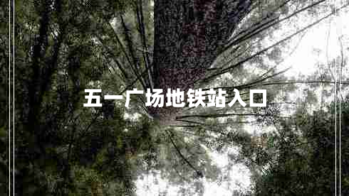 五一廣場(chǎng)地鐵站入口