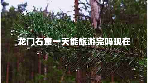 龍門(mén)石窟一天能旅游完嗎現在