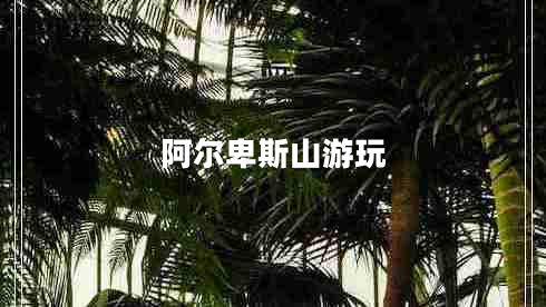 阿爾卑斯山游玩