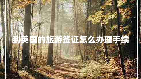 到英國的旅游簽證怎么辦理手續