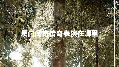 廈門(mén)閩南傳奇表演在哪里