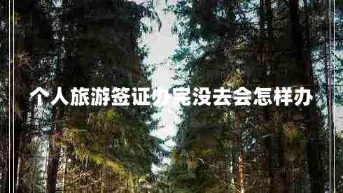 個(gè)人旅游簽證辦完沒(méi)去會(huì )怎樣辦