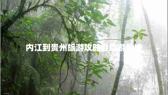 內江到貴州旅游攻略自助游價(jià)格