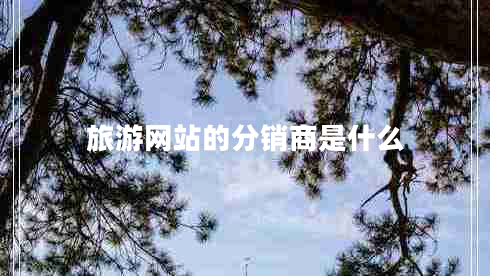 旅游網(wǎng)站的分銷(xiāo)商是什么