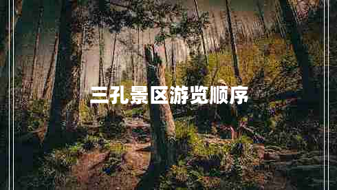 三孔景區游覽順序