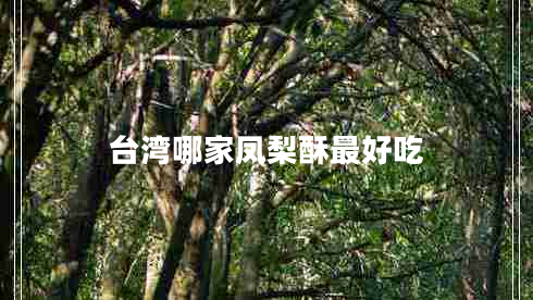 臺灣哪家鳳梨酥最好吃
