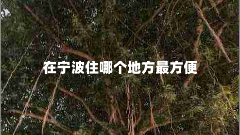 在寧波住哪個(gè)地方最方便