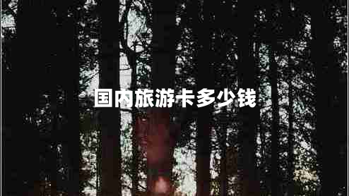國內旅游卡多少錢(qián)
