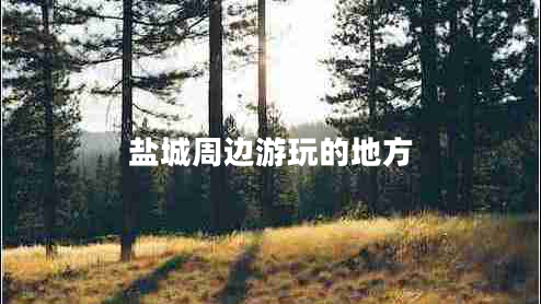 鹽城周邊游玩的地方