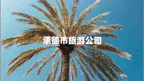 承德市旅游公司