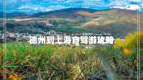 德州到上海自駕游攻略