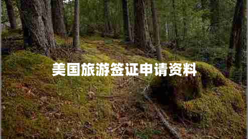 美國旅游簽證申請資料