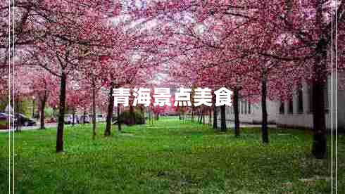 青海景點(diǎn)美食
