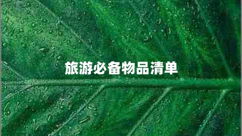 旅游必備物品清單