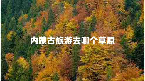 內蒙古旅游去哪個(gè)草原