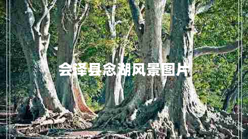 會(huì )澤縣念湖風(fēng)景圖片