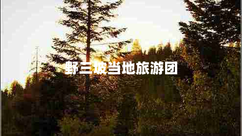 野三坡當地旅游團