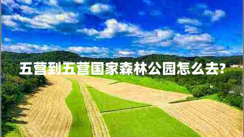 五營(yíng)到五營(yíng)國家森林公園怎么去?