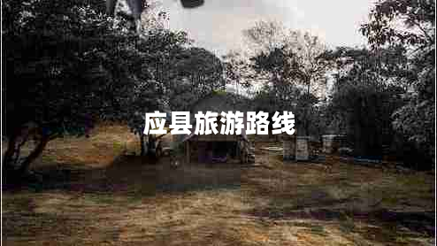 應縣旅游路線(xiàn)