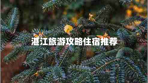 湛江旅游攻略住宿推薦