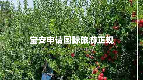 寶安申請國際旅游正規