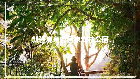 新疆鹿角灣國家森林公園