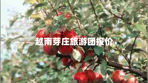 越南芽莊旅游團報價(jià)