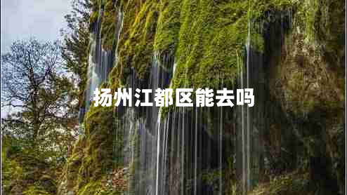 揚州江都區能去嗎