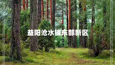 益陽(yáng)滄水鋪東部新區