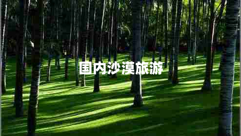 國內沙漠旅游