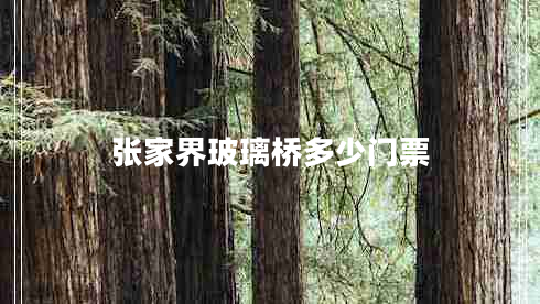 張家界玻璃橋多少門(mén)票