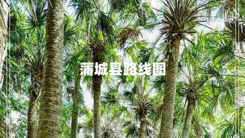 蒲城縣路線(xiàn)圖