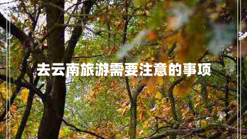 去云南旅游需要注意的事項