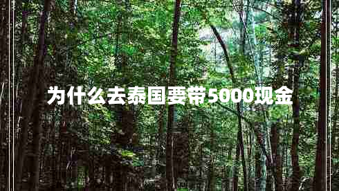 為什么去泰國要帶5000現金