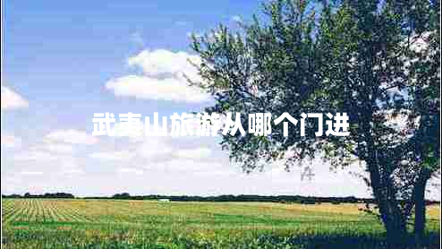 武夷山旅游從哪個(gè)門(mén)進(jìn)