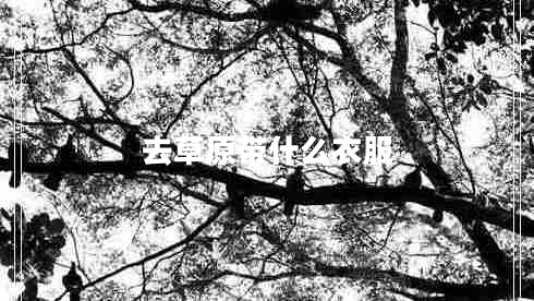 去草原帶什么衣服