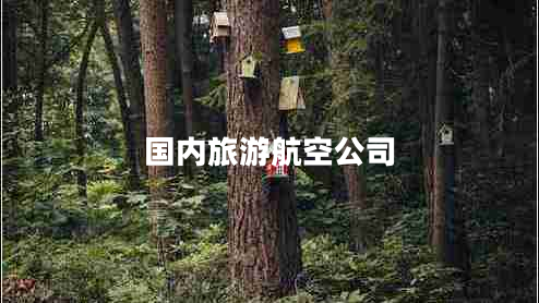 國內旅游航空公司