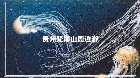 貴州梵凈山周邊游